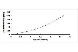 Typical standard curve (VKORC1 Kit ELISA)