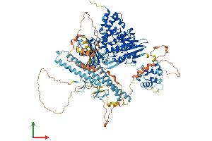 AlphaFold protein structure predicition of Mouse Recombinant Mical1 Protein, UniprotID Q8VDP3