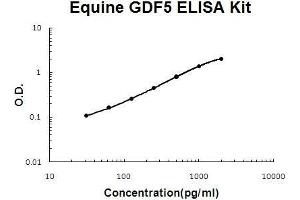 Horse equine GDF5 PicoKine ELISA Kit standard curve (GDF5 Kit ELISA)