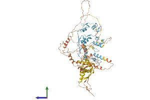 AlphaFold protein structure predicition of Human Recombinant ZBTB24 Protein, UniprotID O43167
