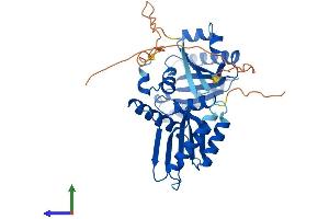 AlphaFold protein structure predicition of Mouse Recombinant Rragb Protein, UniprotID Q6NTA4
