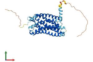 AlphaFold protein structure predicition of Human Recombinant CCR5 Protein, UniprotID P51681