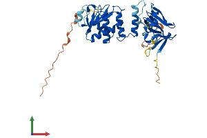 AlphaFold protein structure predicition of Mouse Recombinant Dusp12 Protein, UniprotID Q9D0T2