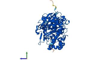 AlphaFold protein structure predicition of Human Recombinant XYLB Protein, UniprotID O75191