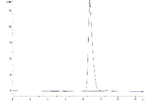 The purity of Cynomolgus DNAM-1 is greater than 95 % as determined by SEC-HPLC.