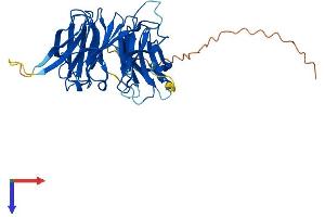 AlphaFold protein structure predicition of Mouse Recombinant Seh1l Protein, UniprotID Q8R2U0