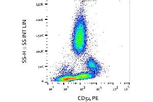 Flow cytometry analysis (surface staining) of CD54 expression in activated human peripheral blood with anti-CD54 (MEM-111) PE. (ICAM1 anticorps)