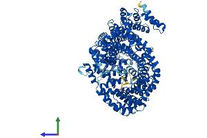 AlphaFold protein structure predicition of Human Recombinant IPO11 Protein, UniprotID Q9UI26