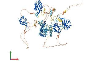 AlphaFold protein structure predicition of Human Recombinant RBM19 Protein, UniprotID Q9Y4C8