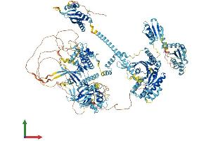 AlphaFold protein structure predicition of Human Recombinant EIF2AK4 Protein, UniprotID Q9P2K8