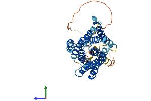 AlphaFold protein structure predicition of Mouse Recombinant Slc39a11 Protein, UniprotID Q8BWY7