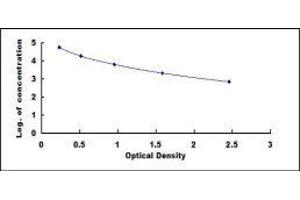 Free Triiodothyronine T3 (fT3) ELISA Kit