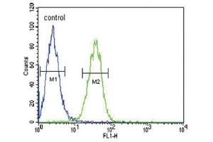Flow Cytometry (FACS) image for anti-Cartilage Oligomeric Matrix Protein (COMP) antibody (ABIN3002869) (COMP anticorps)