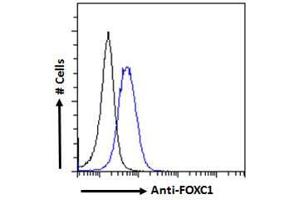 ABIN185028 Flow cytometric analysis of paraformaldehyde fixed HEK293 cells (blue line), permeabilized with 0.