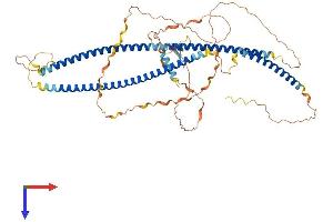 AlphaFold protein structure predicition of Human Recombinant TBKBP1 Protein, UniprotID A7MCY6