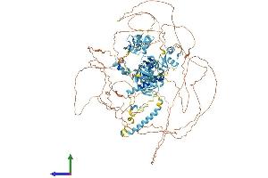 AlphaFold protein structure predicition of Human Recombinant ADNP Protein, UniprotID Q9H2P0