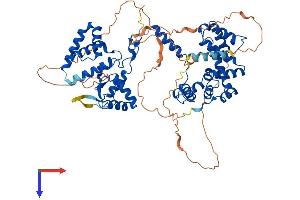 AlphaFold protein structure predicition of Human Recombinant RGS9 Protein, UniprotID O75916