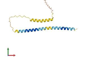 AlphaFold protein structure predicition of Human Recombinant PXT1 Protein, UniprotID Q8NFP0