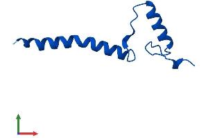 AlphaFold protein structure predicition of Human Recombinant NDUFA1 Protein, UniprotID O15239