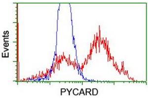 Image no. 8 for anti-PYD and CARD Domain Containing (PYCARD) antibody (ABIN1500518) (PYCARD anticorps)