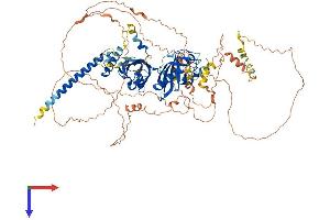 AlphaFold protein structure predicition of Mouse Recombinant Hif1a Protein, UniprotID Q61221
