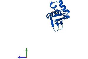 AlphaFold protein structure predicition of Human Recombinant NATD1 Protein, UniprotID Q8N6N6