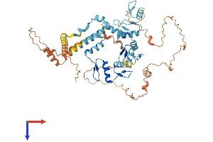 AlphaFold protein structure predicition of Human Recombinant ZNF891 Protein, UniprotID A8MT65