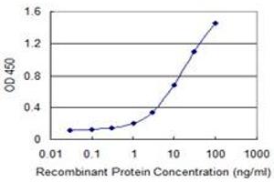 Detection limit for recombinant GST tagged HSD17B12 is 0.