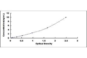 CD63 (CD63) ELISA Kit