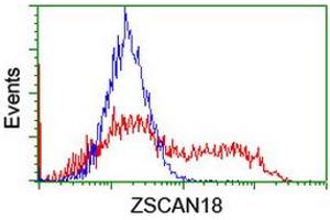 Image no. 2 for anti-Zinc Finger and SCAN Domain Containing 18 (ZSCAN18) antibody (ABIN1501856) (ZSCAN18 anticorps)