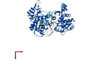 AlphaFold protein structure predicition of Human Recombinant CTPS2 Protein, UniprotID Q9NRF8