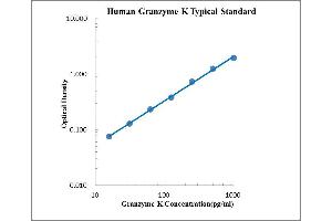 ELISA image for Granzyme K (Granzyme 3, Tryptase II) (GZMK) ELISA Kit (ABIN2472070) (GZMK Kit ELISA)