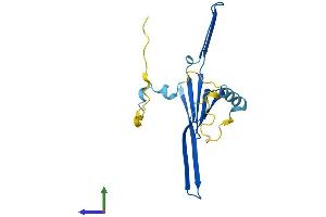 AlphaFold protein structure predicition of Mouse Recombinant Tcap Protein, UniprotID O70548