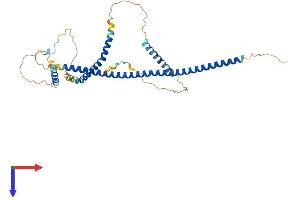 AlphaFold protein structure predicition of Mouse Recombinant Gkap1 Protein, UniprotID Q9JMB0