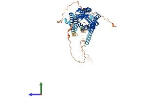 AlphaFold protein structure predicition of Mouse Recombinant Cckar Protein, UniprotID O08786