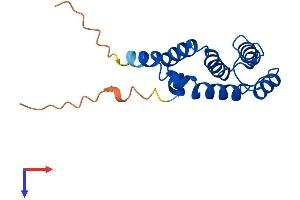 Regulator of G-Protein Signaling 21 (RGS21) (AA 1-152) protein (His tag)