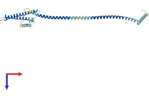 AlphaFold protein structure predicition of Human Recombinant LZTFL1 Protein, UniprotID Q9NQ48