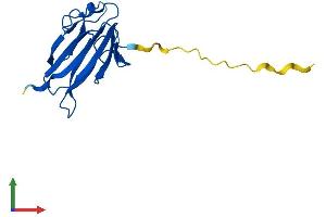 AlphaFold protein structure predicition of Human Recombinant TIFAB Protein, UniprotID Q6ZNK6