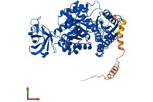 AlphaFold protein structure predicition of Mouse Recombinant Pklr Protein, UniprotID P53657