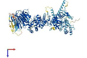 AlphaFold protein structure predicition of Human Recombinant HERC6 Protein, UniprotID Q8IVU3