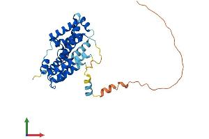 AlphaFold protein structure predicition of Mouse Recombinant Tmem38b Protein, UniprotID Q9DAV9