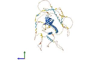 AlphaFold protein structure predicition of Mouse Recombinant Enah Protein, UniprotID Q03173