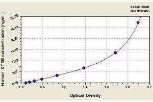 Typical standard curve (Cathepsin B Kit ELISA)