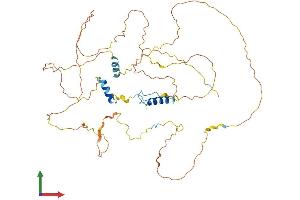 AlphaFold protein structure predicition of Mouse Recombinant Gpbp1l1 Protein, UniprotID Q6NZP2