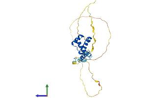 AlphaFold protein structure predicition of Mouse Recombinant Tgif2 Protein, UniprotID Q8C0Y1