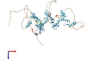 AlphaFold protein structure predicition of Human Recombinant ZNF74 Protein, UniprotID Q16587
