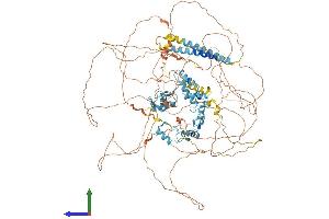 AlphaFold protein structure predicition of Mouse Recombinant Sall4 Protein, UniprotID Q8BX22