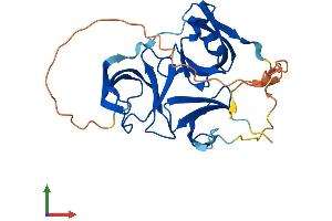 AlphaFold protein structure predicition of Human Recombinant SPIN1 Protein, UniprotID Q9Y657