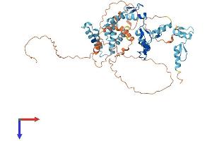 AlphaFold protein structure predicition of Human Recombinant ZKSCAN4 Protein, UniprotID Q969J2