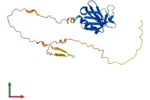 AlphaFold protein structure predicition of Mouse Recombinant Plekhb2 Protein, UniprotID Q9QZC7